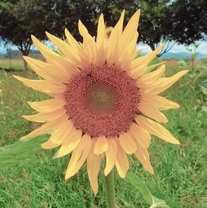 Meet your Posher, Kellie